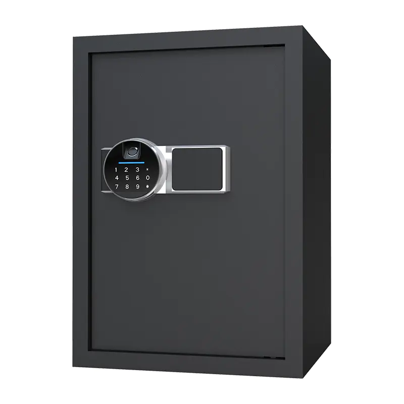 Caja fuerte biométrica para el hogar BS0150 48L
